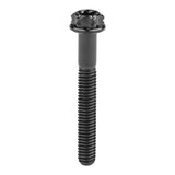 Wanyifa Titanium Bolt M4x10 15 20 25 30mm Flange Torx Head with 'W' Logo Screw Ti Fasteners for Bike Motorcycle Car