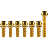 Wanyifa Titanium Bolt Set 1pc M6x35mm Taper/Cap Hex Head Screw+6pcs M5/M6x16 18 20mm Taper Hex Head with No-shedding Washer Screws for Bicycle Upgarde Set Kits