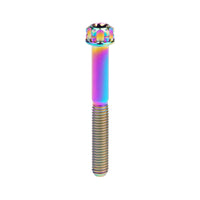 Wanyifa Titanium Bolt M5x6 10 15 20 25 30 35 40 45 50 55 60 65 70 75 80 85 90mm Fancy Flange Torx T25 Head with 'W' Logo Screw for Bicycle Motorcycle Car