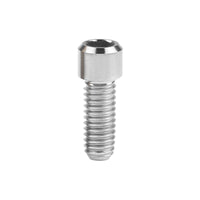 Wanyifa Titanium Bolt M4x10 13.5 15 20 25mm Small Cap Allen Key Head Screw for Bicycle Rear/front Derailleur H/L Adjustment