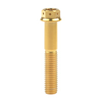 Wanyifa Titanium Bolt M10x20 25 30 35 40 45 50 55 60 65 70 75 80 85 90mm Flange with Drilled Holes Hex Head Srecws Pitch 1.5mm