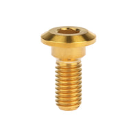 Wanyifa Titanium Bolt M8x20 22 25 30 33 35 40mm Hex Socket Head Screws for Motorcycle Yamaha Disc Brake Screw Suzuki Refit