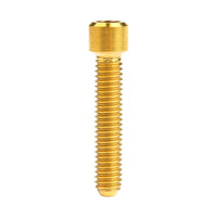 Wanyifa Titanium Bolt M4x10 13.5 15 20 25mm Small Cap Allen Key Head Screw for Bicycle Rear/front Derailleur H/L Adjustment