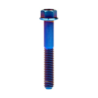 Wanyifa Titanium Bolt M6x10 15 20 25 30 35 40 45 50 55 60 65 70 75 80 90 100mm Small Flange Hex Head Screws for Bike Motorcycle