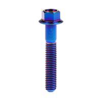 Wanyifa Titanium Bolt M4/M5x6 8 10 12 15 20 25 30mm Small Flange Hex Head Screws for Bike Motorcycle Car