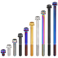 Wanyifa Titanium Bolt M5x6 10 15 20 25 30 35 40 45 50 55 60 65 70 75 80 85 90mm Fancy Flange Torx T25 Head with 'W' Logo Screw for Bicycle Motorcycle Car