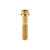 Wanyifa Titanium Bolt M10x20 25 30 35 40 45 50 55 60 65 70 75 80 85 90mm Flange With Holes Hex Head Srecws Pitch 1.5mm