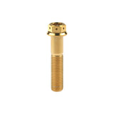 Wanyifa Titanium Bolt M10x20 25 30 35 40 45 50 55 60 65 70 75 80 85 90mm Flange With Holes Hex Head Srecws Pitch 1.5mm